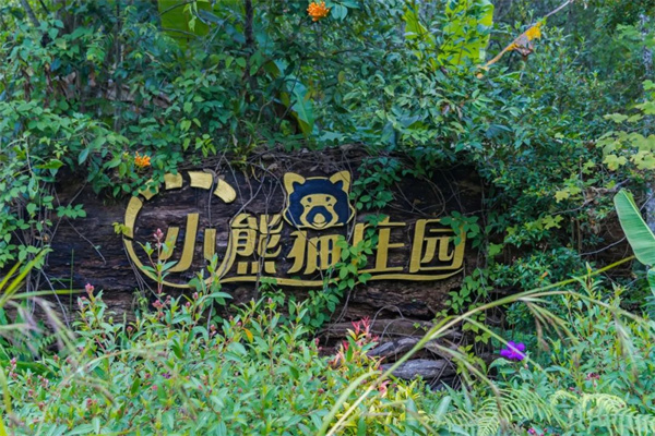 2025西双版纳6天5晚滇国奇遇记小熊猫亲子营（云南）