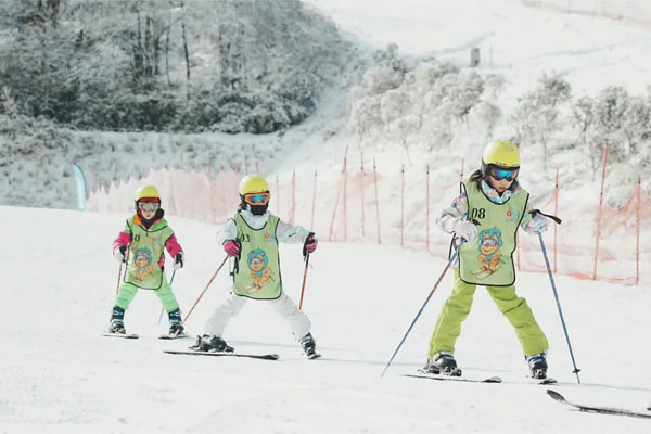 2024恩施绿葱坡5天4晚双板初级滑雪冬令营（湖北）